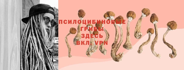 а пвп мука Алзамай