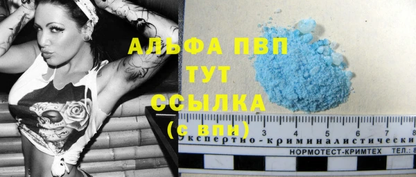 индика Россошь