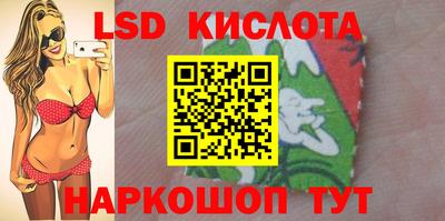 apvp Свободный