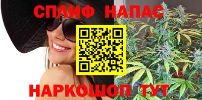 apvp Свободный