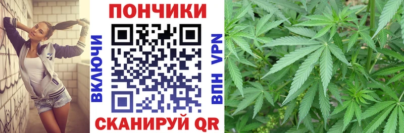 Конопля план Прохладный